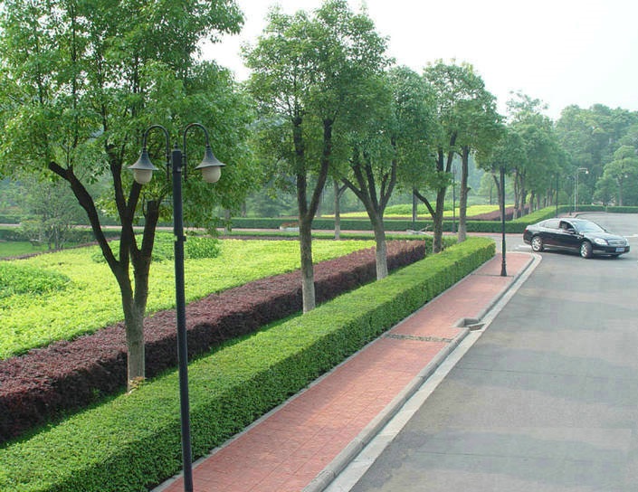 道路绿地风景建设